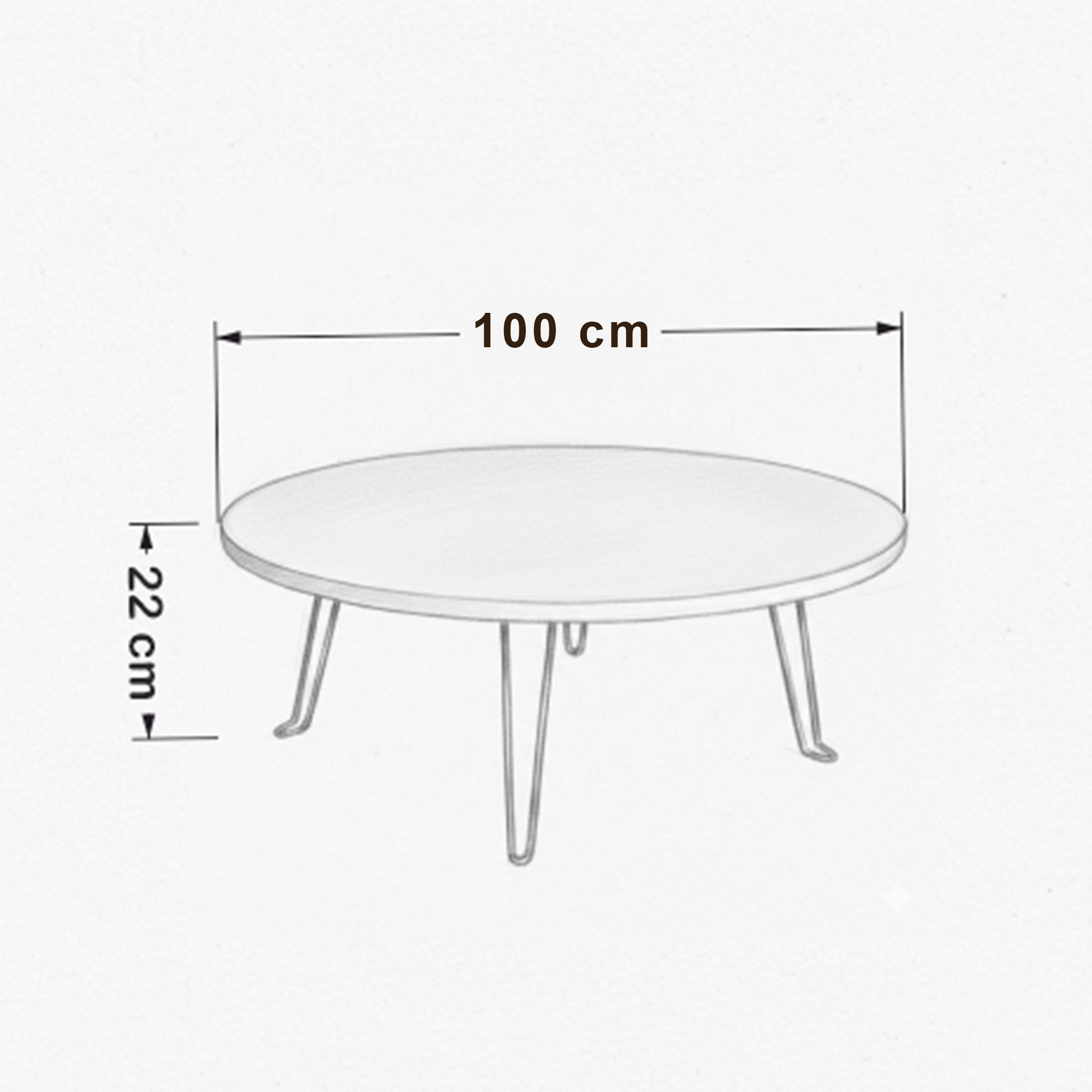 Ratemo Mobilya 100 cm Yuvarlak Katlanabilir Yer Sofrası, Yer Masası ve Oyun Masası – Beyaz Renk Yer Masası – 22 cm Yükseklik - Görsel 2